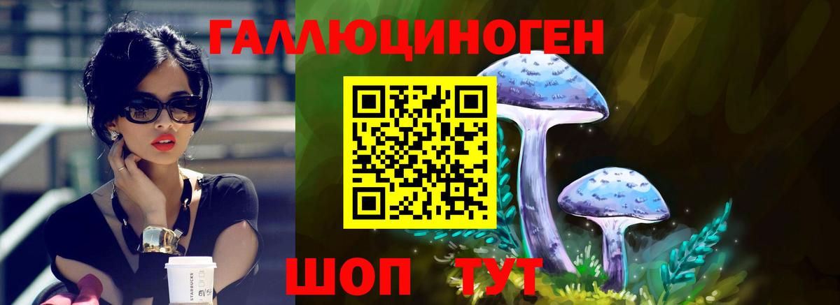 Псилоцибиновые грибы Psilocybe Верхняя Пышма